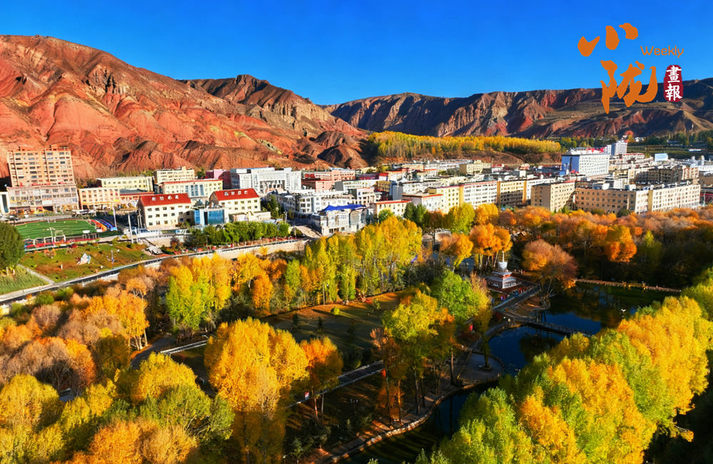 肅南 多彩秋日 滿(mǎn)目金黃