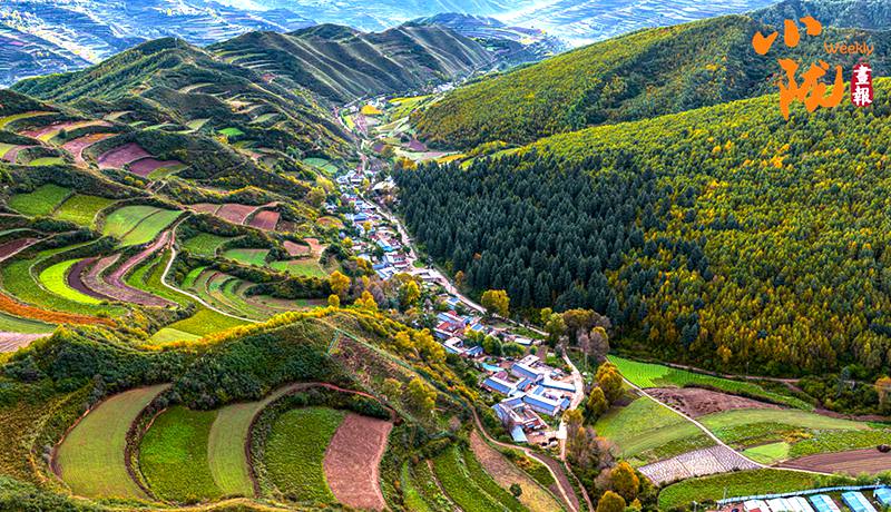 初冬時(shí)節(jié) 臨潭最后一波秋色驚艷誘人