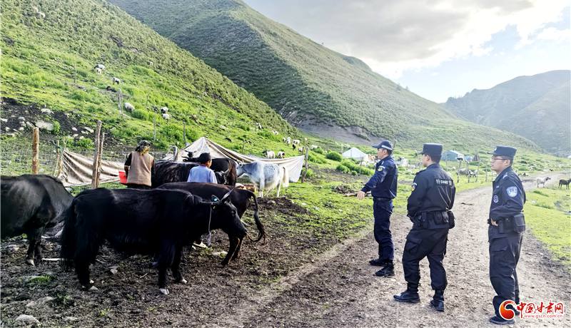 中甘特稿丨“阿旦”所長(zhǎng)：把青春釘進(jìn)車(chē)巴溝 把警徽戴進(jìn)牧民心